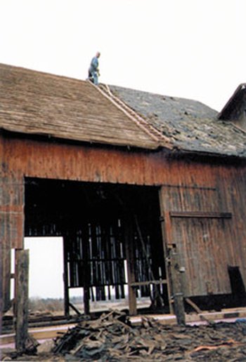 Phil scraping off old shingles from the barn